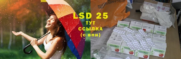 ГАЛЛЮЦИНОГЕННЫЕ ГРИБЫ Абаза