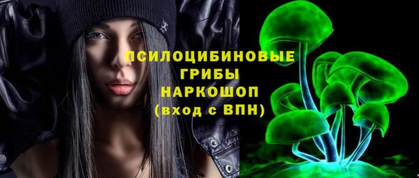 ГАЛЛЮЦИНОГЕННЫЕ ГРИБЫ Абаза