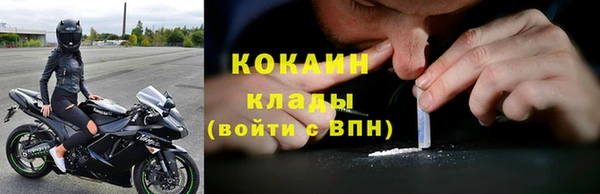 ГАЛЛЮЦИНОГЕННЫЕ ГРИБЫ Абаза