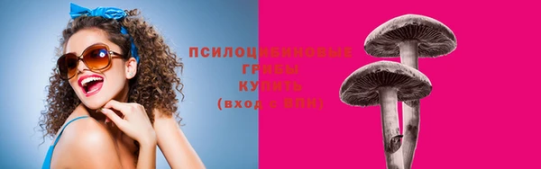 ГАЛЛЮЦИНОГЕННЫЕ ГРИБЫ Абаза