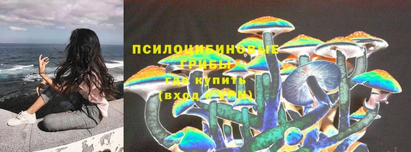 spice Абинск