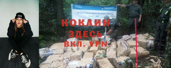 ГАЛЛЮЦИНОГЕННЫЕ ГРИБЫ Абаза