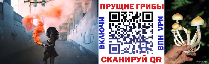 Галлюциногенные грибы мухоморы  цена   Богданович 